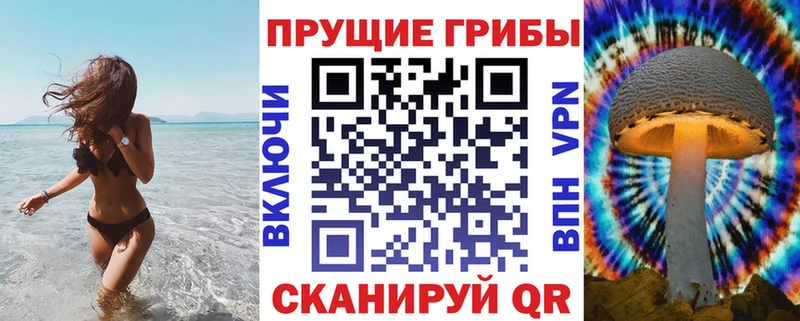 Псилоцибиновые грибы Psilocybe даркнет сайт Струнино